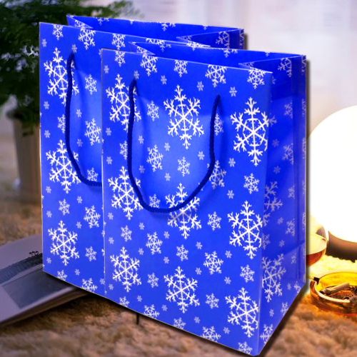 手提袋展示圖 手提袋展示圖