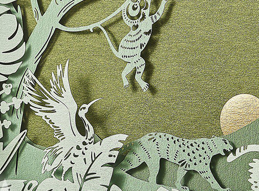 蜂蜜包裝禮品盒 蜂蜜包裝禮品盒